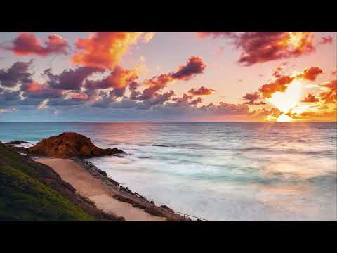 Tom Swoon x Nari & Milani - Stay Together