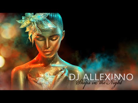 DJ Allexinno - Ships in the Night