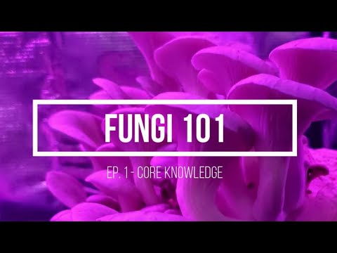 Fungi 101 | Ep. 1 - The Core Knowledge to Mushroom Cultivation