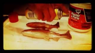 "You've Been Duplicated" - Swimbait Modifications