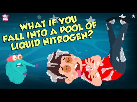 What If You Fall Into A Pool Of Liquid Nitrogen? | Hypothermia | Dr Binocs Show | Peekaboo Kidz