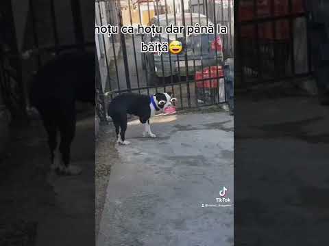 Touch when the thief comes!