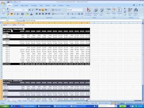 VBA Automation Project