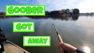 Steady Catfish Action on the Tennesse River || Fort Loudoun || Kayak || Catfishing