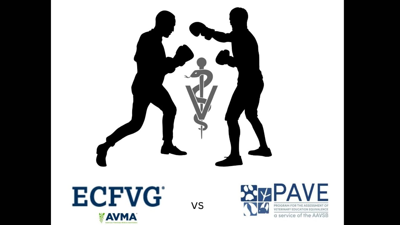 The Great Veterinary Pathway: ECFVG vs PAVE