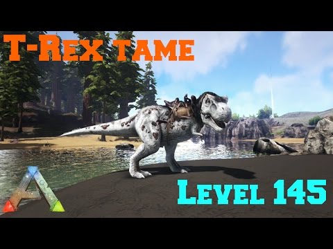 HIGH LEVEL REX TAME - ARK: Survival Evolved