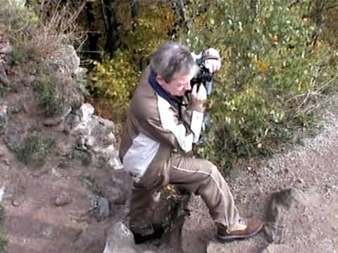 Kirándulások a Büdös hegyen