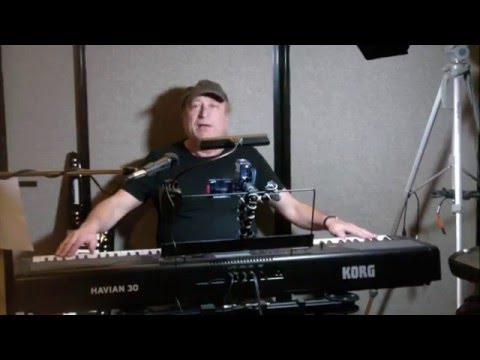 Havian 30 Korg תמונה 2