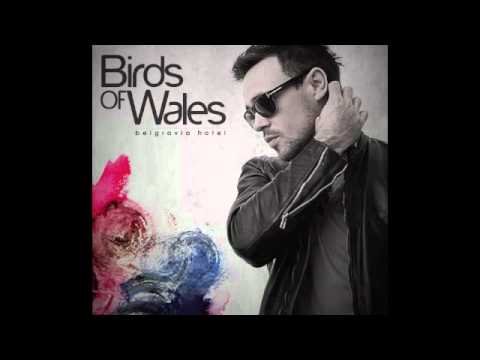 Birds of Wales - 'Just Right' (2010)