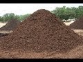 Queen Sheba Mp4