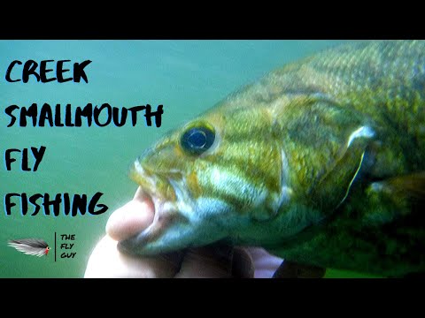 Creek Fly Fishing Adventure Part 2 - Lower Creek - Smallmouth on the Fly-The Fly Guy Video