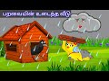 Struggle Of Mother Bird During Heavy Rain Season Moral Story In Tamil Village Birds Cartoon