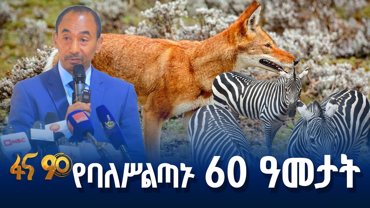 87 የዱር እንስሳት ጥበቃ ቦታዎች