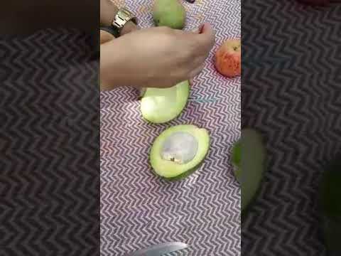 Classificação dos frutos