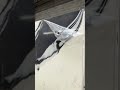 RQ09962 PANDA BLACK Quartz Slab - Raphael Quartz - Atlanta