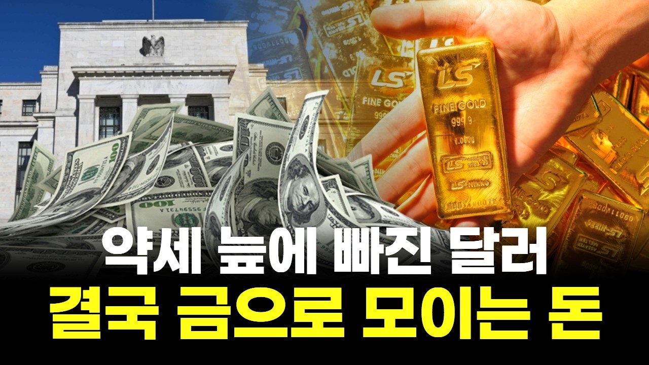 약세 늪에 빠진 달러...결국 돈은 금으로 모인다