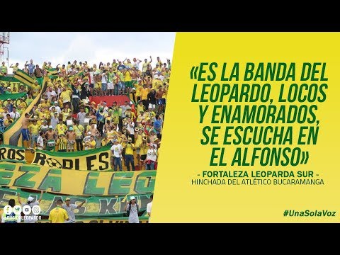 Aguante como el nuestro - Fortaleza Leoparda Sur | Letra