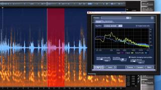 Clean Up Live Recordings with RX 2 | iZotope Tips From A Pro