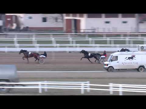 2021.03.20. 08. futam - TAVASZI HENDIKEP