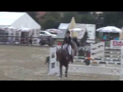 Sportpferde ASG - Albert Zweistein - SPF L - Kirchstockach 2014