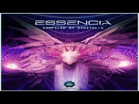 Shekinah vs Labirinto - Analog Pulse (Nevermind Remix) ᴴᴰ