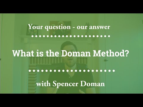 What is the Doman Method