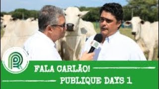 Miniatura do vídeo