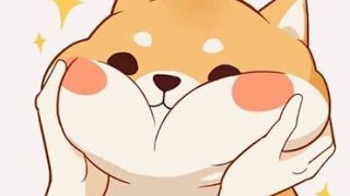 M G のライブ ストリーム