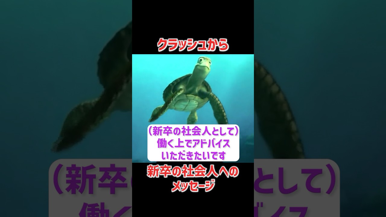 クラッシュから新卒の社会人へのメッセージ#クラッシュ #ディズニー #タートルトーク