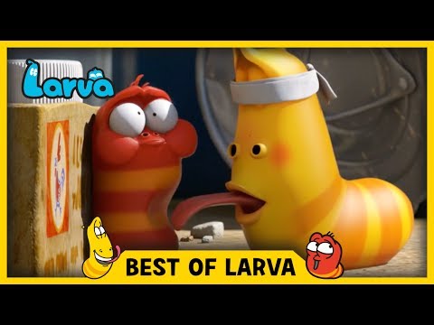 LARVA | BEST OF LARVA | Funny Cartoons for Kids | Cartoons For Children | LARVA 2017 WEEK 25