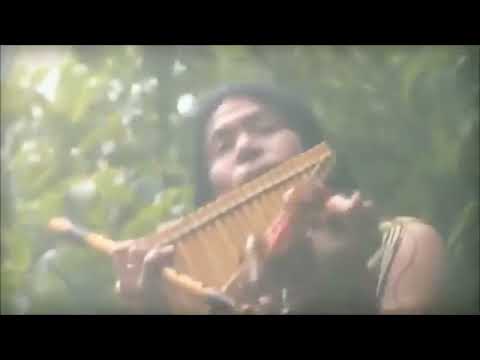 Primo - Lubelski Full, ale to Ekwador