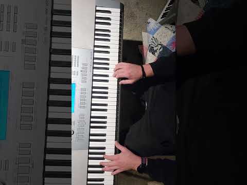 Casio Wk225 2014 - Silver image 9