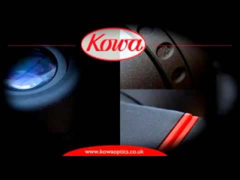  Бинокль Kowa SV 10x50 WP 914771