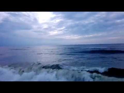 DHARMA FESTIVAL 2016