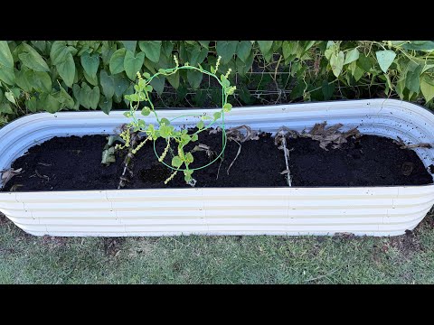 VEGEGA GARDEN BED UNBOXING Watch Me Build My Dream Garden Bed! #easygardening