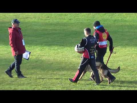 WUSV 2021  AUT 3 - DIESENREITHER ROBERT & LIFE VOM KÄMPFERHERZ C 94