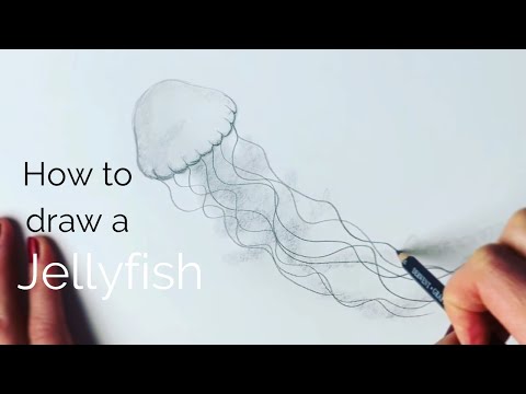 Beginners - how to draw a jellyfish