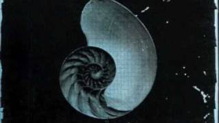 Twilight ~ Future of Forestry