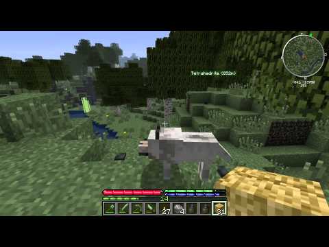 TerraFirmaCraft SSP: Episode 10 - West or Bust