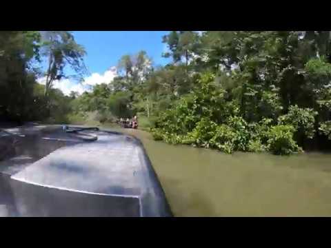 Amazon Rainforest Skiff Tour with the Aria - Timelapse