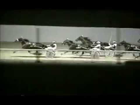 1988 Scioto Downs CALL FOR RAIN Breeders Crown Aged H&G Pace