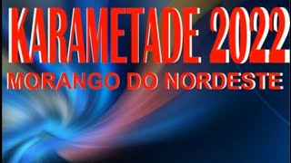 Download lagu MORANGO DO NORDESTE REMIX -- DJVICTORBATEFORTE mp3