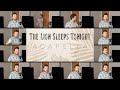 The Lion Sleeps Tonight ACAPELLA