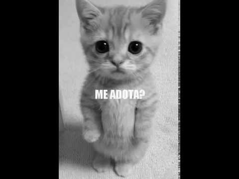 Cópia de Mc huguinho jc