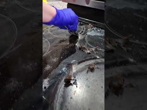 Maria`s Team Cleaning Company video.