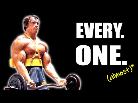 The Programs of Every Bodybuilding Era EXPLAINED (almost)