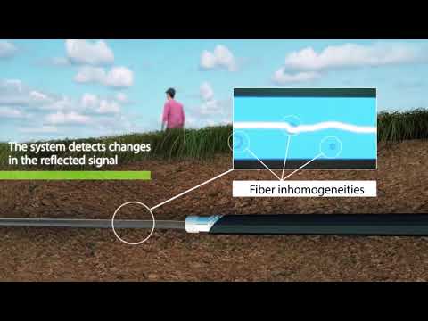 Fiber Optic Distributed Acoustic Sensing
