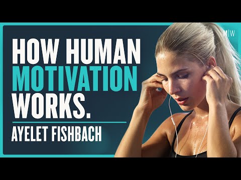 The Psychology Of Human Motivation - Ayelet Fishbach