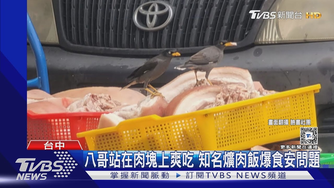 二手爌肉飯? 「八哥」爽吃五花肉 民眾憂食安疑慮