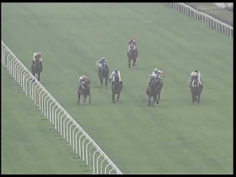 2019-02-23 Race 1(0163) - THE TSIMSHATSUI